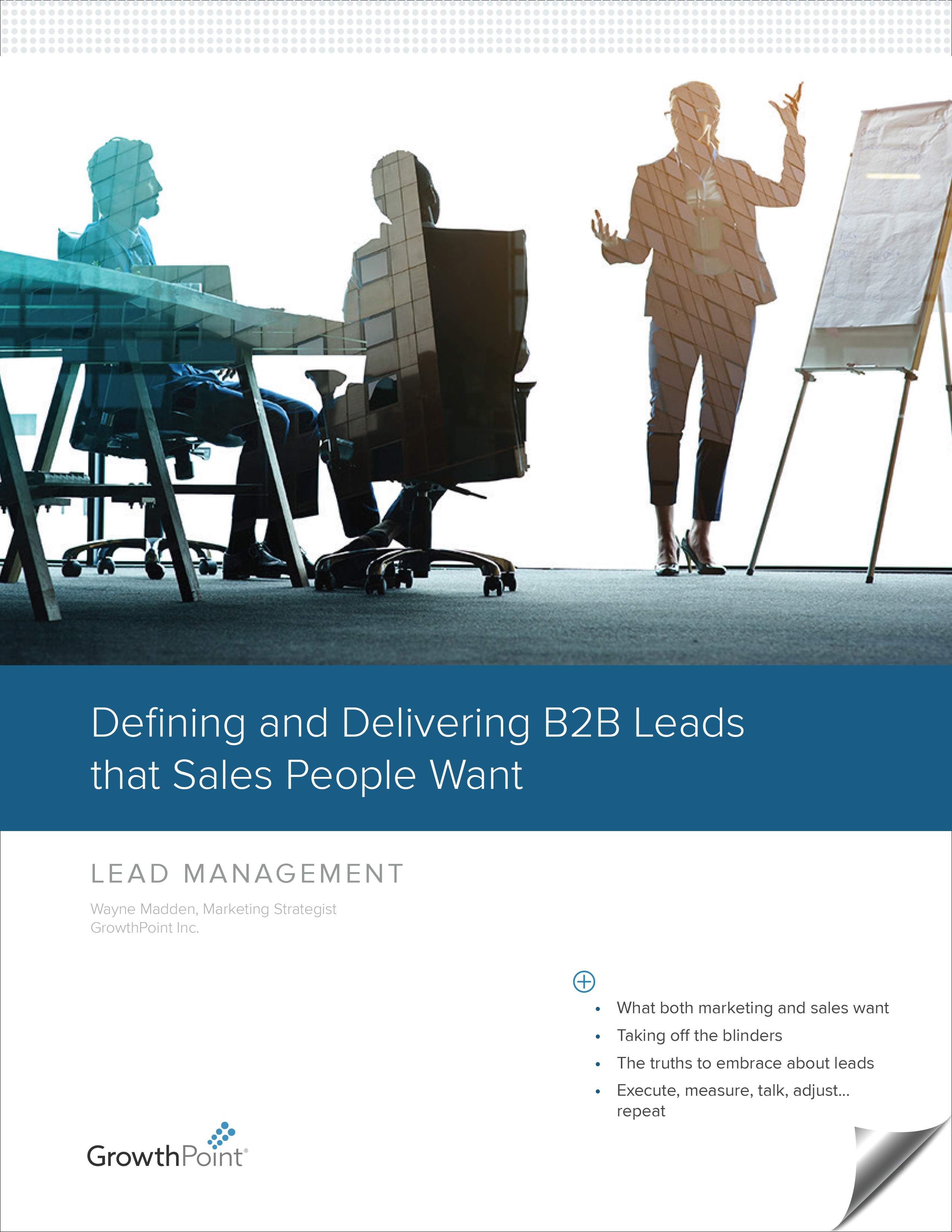 Resources - Lead Mangement White Paper