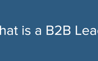 what is a b2b lead